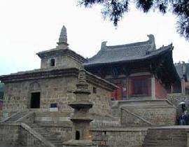 長(zhǎng)子圖片