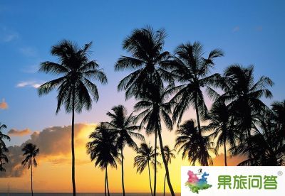 【昆明直飛三亞】瀟灑蜈支洲——天涯海角、蜈支洲島、南山文化苑