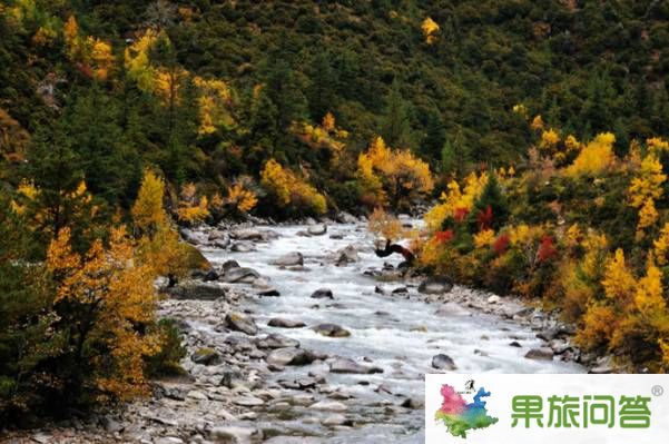 云南十一旅游好去處_香格里拉到稻城亞丁風景線