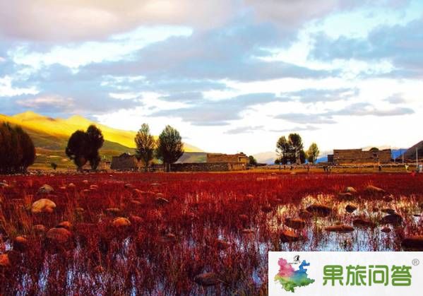 云南十一旅游好去處_香格里拉到稻城亞丁風景線