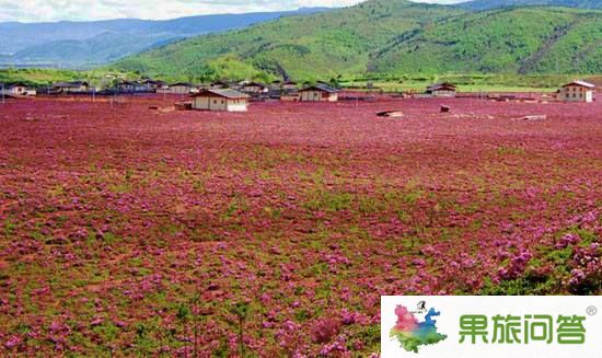 11月香格里拉七彩的格?；í?dú)秀云南