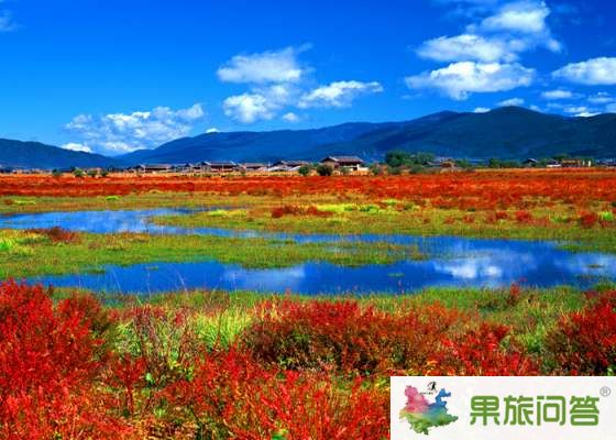 昆明、大理、麗江、香格里拉 7晚8天 生態(tài)休閑之旅