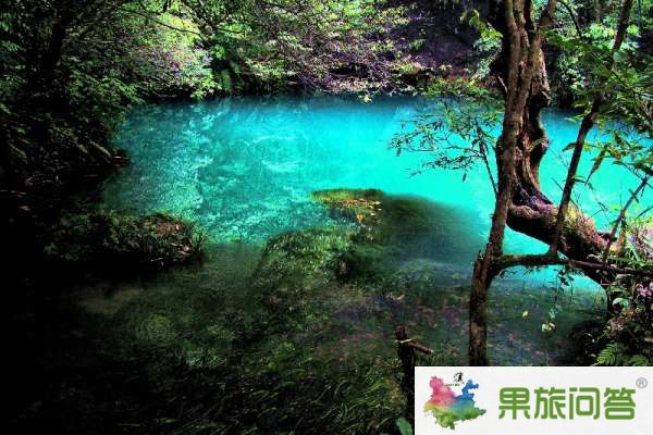 昆明、大理、麗江、西雙版納”7晚8天生態(tài)休閑之旅