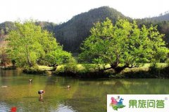 羅平多依河享受純粹的田園風光