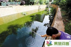 <b>昆明市上演小龍蝦大戰(zhàn)！小龍蝦涌進(jìn)入滇河道危害極大市民展開(kāi)捕殺</b>