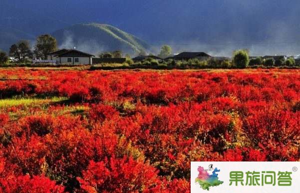 超值休閑游—麗江、香格里拉、大理六日游 HX
