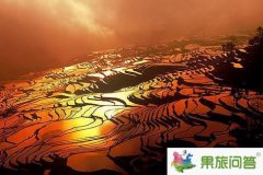 元陽縣哈尼梯田風光