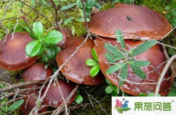 云南有什么好吃的？